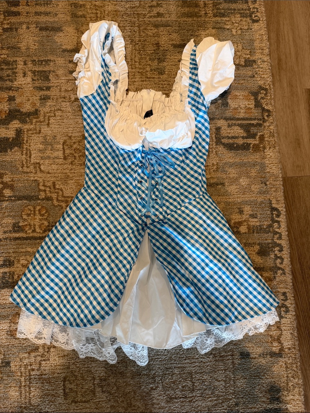 Dorothy Wizard of Oz costume